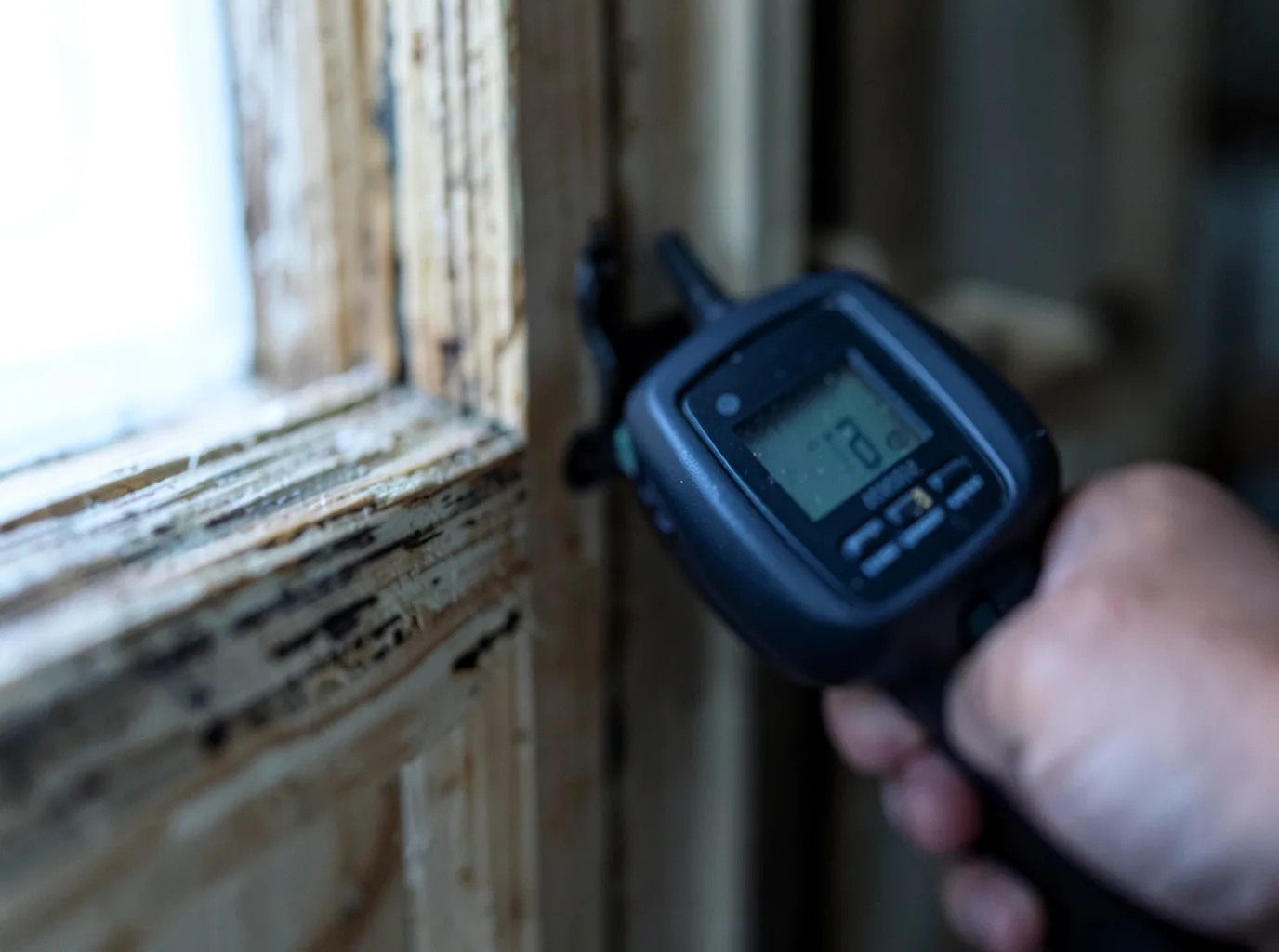Moisture Inspection And Documentation in Donahue, IA